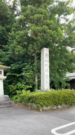 化け猫伝説の記事動画