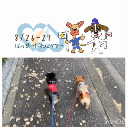 オリンピックの記事動画