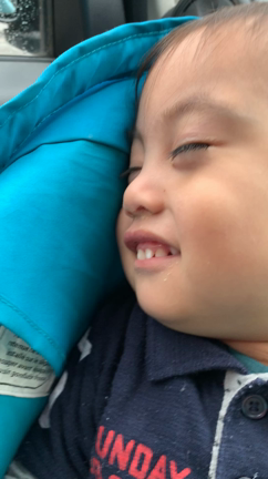眠くて仕方がない。の記事動画