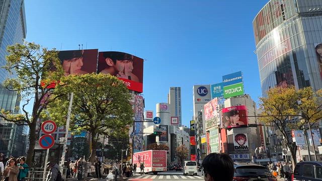 今日の寄り道はの記事動画