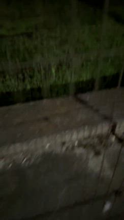 今日の帰り道の記事動画