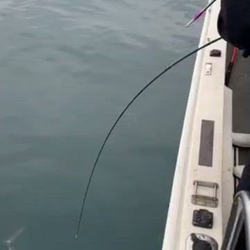 4月27日 青物ジギングの記事動画