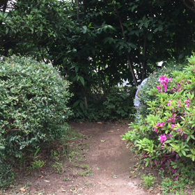 明日5/30(火)19時半〜 ドキュ落の世界！89本目の新ネタの画像