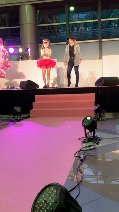 ハーバーカーニバル2019でした♪の記事動画