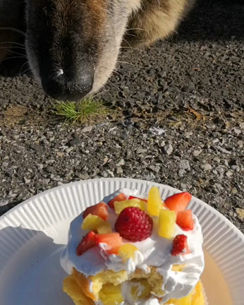 幸せをありがとう。の記事動画
