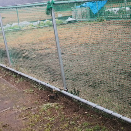母の気も知らずにの記事動画