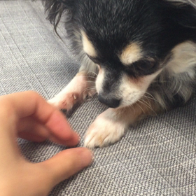 ツンの動画 手隠しの画像