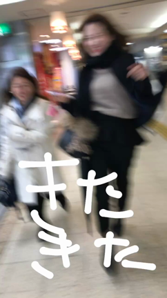 犬山の記事動画