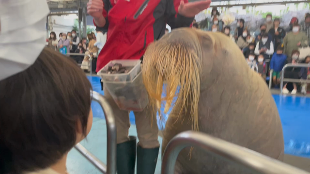 伊勢・鳥羽旅行の記事動画