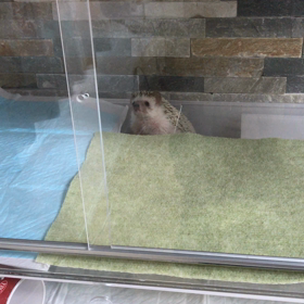 落とし穴の画像