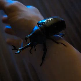 時代を巡らせないとの画像