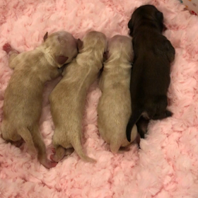 12月のお産✨✨の画像