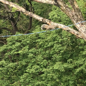 告白の画像