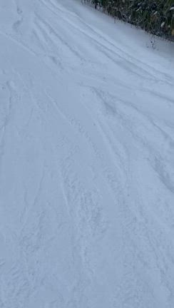 2026.1 新年早々溝に…の記事動画