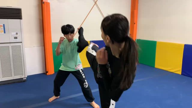 沖縄でであったものの記事動画