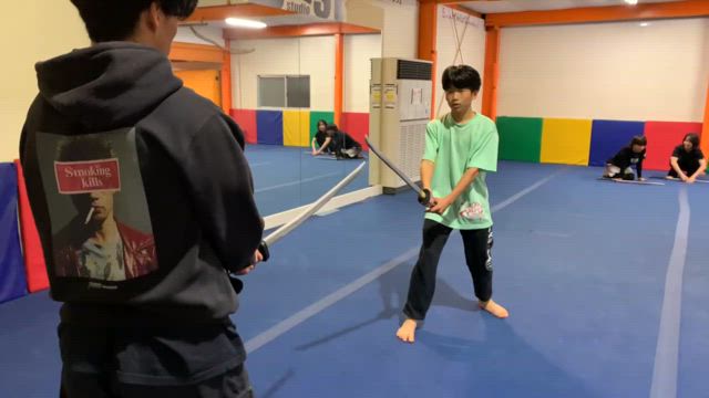 沖縄でであったものの記事動画