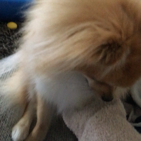 もっと〜の画像