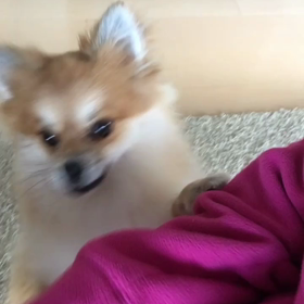 毎朝の画像