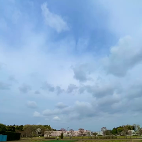 雲雀の画像