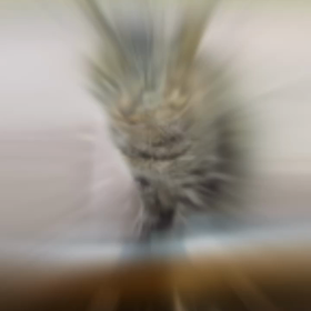 冷たい雨の画像