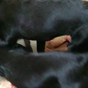 6ヶ月～✨の画像