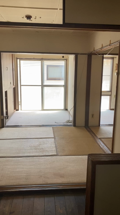 花屋オープンに向けて！！の記事動画