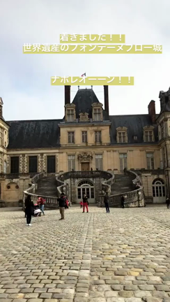 パリから日帰りゆらり旅☘️✨ 〜宮殿編①〜の記事動画