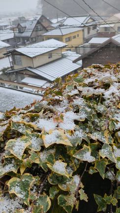 雪の日は無理せず振り替えOK！当教室はフリータイム予約制、最優先で対応しますの記事動画