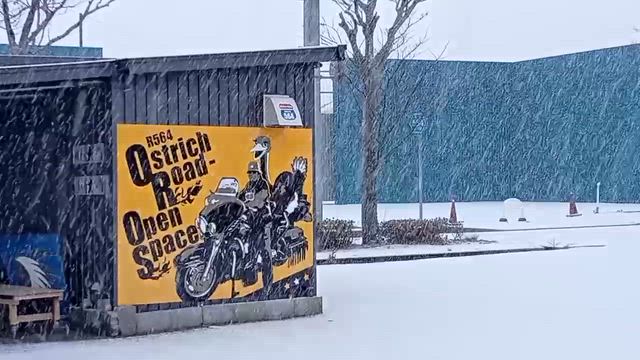 エビまきつり. 寒波の合間をぬって釣りは？❣️。の記事動画