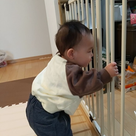 9.2kg。の画像