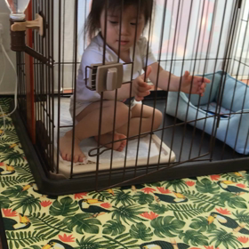 檻の中にいたものの画像