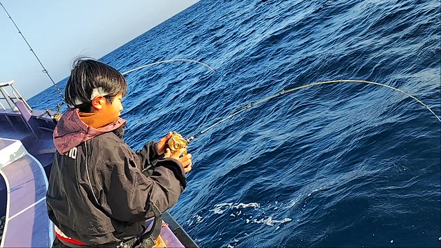 ☆１４日・釣果｡マハタ優勢・大鮃もget❗全員お魚get～☆の記事動画