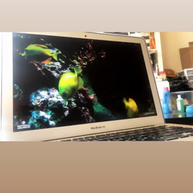 水族館broadcast　quarantine（予防のための隔離）生活の娯楽　の画像