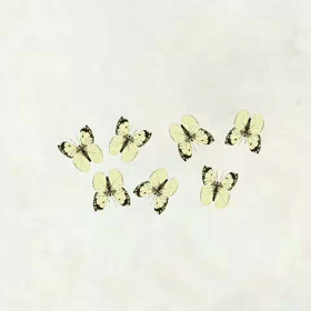 闘いにゆくの画像