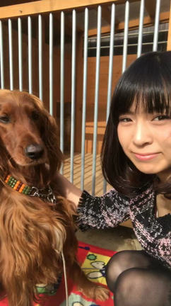 私の癒し☆の記事動画