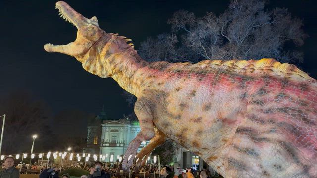 【冬の思い出】楽しみにしていた恐竜大夜行2025！の記事動画