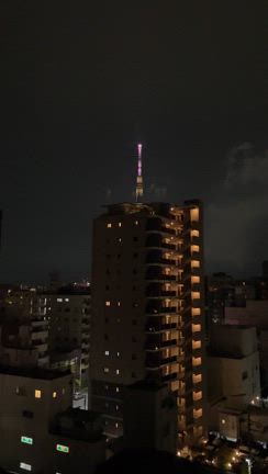涙涙の花火大会と、念願叶った日の記事動画