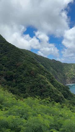 親子旅【小笠原BLOG】母島・レンタカーで島内観光（北側）の記事動画