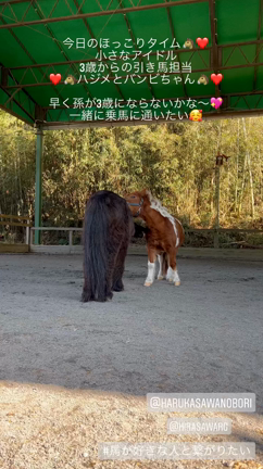 記憶が蘇るの記事動画