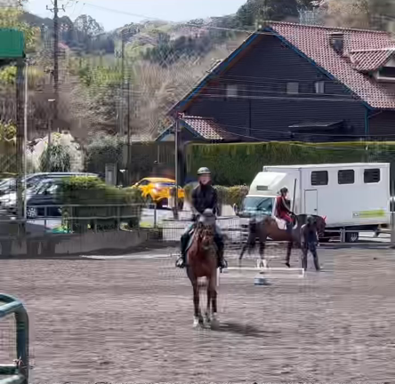 乗馬3級ライセンスの記事動画