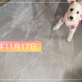 おばあちゃんちの画像