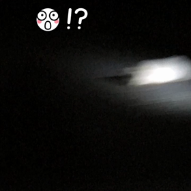 落とし物(｡´･ω･)?の画像