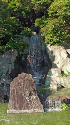 丘陵地のゆりの園を、急ぎ足にて。の記事動画