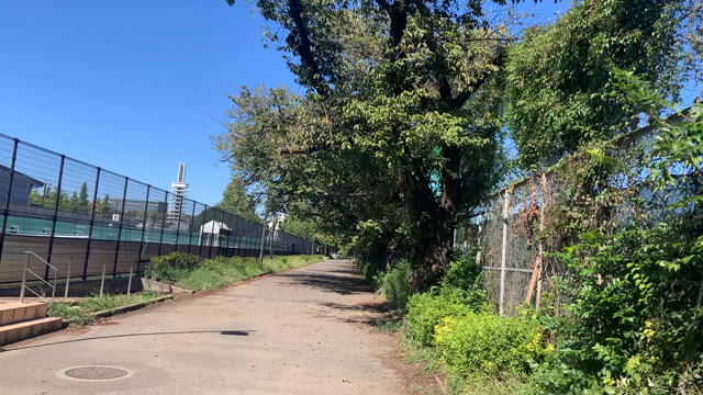 No,36  駒沢オリンピック公園の記事動画