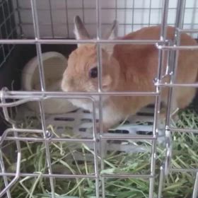 入院21日目の画像