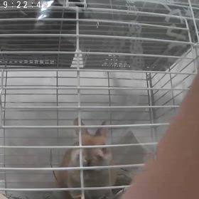 ２週間の画像