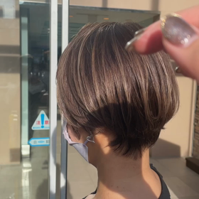 ハイライトカラーの画像