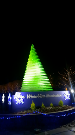 昭和記念公園のイルミネーションの記事動画