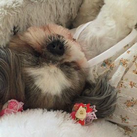 ☆  乙女の恥じらいはどこへ(^^;;の画像