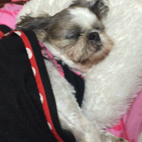 ☆可愛い寝息　♪の画像